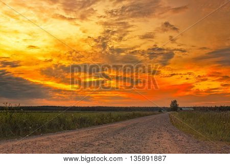 Road To The Sunset