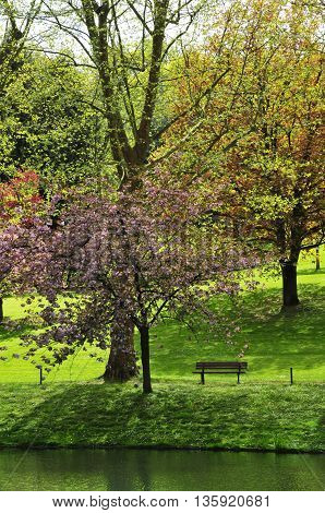 Poissy France - mai 2 2016 : the Meissonier park in spring