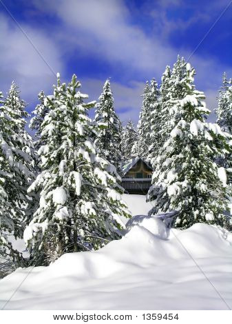  Cabina neve