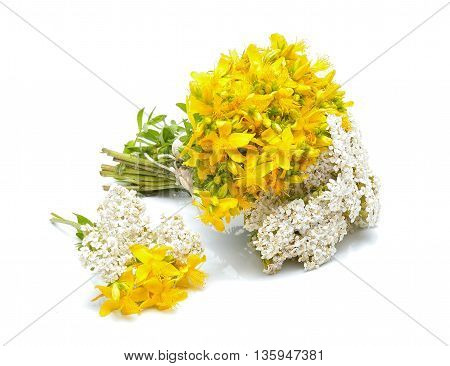 Hypericum flowers and yarrow flowers on white background