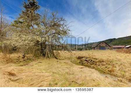 Landscpae ฟาร์มประเทศ มียุ้งข้าวขนาดใหญ่และภูเขา