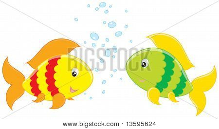 Bunte Fische Small-talk