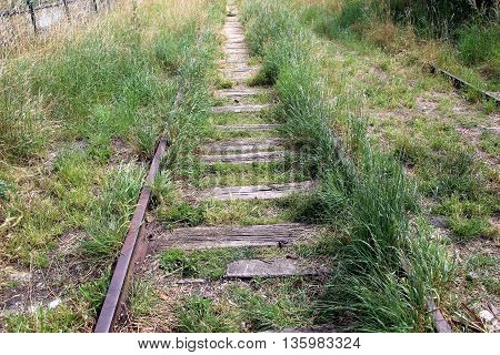 abandoned rusty rails overgrown with wils grass