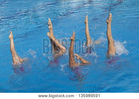 Synchronized swimmers legs movement. Synchronized swimming team performing a synchronized routine of elaborate moves in the water.