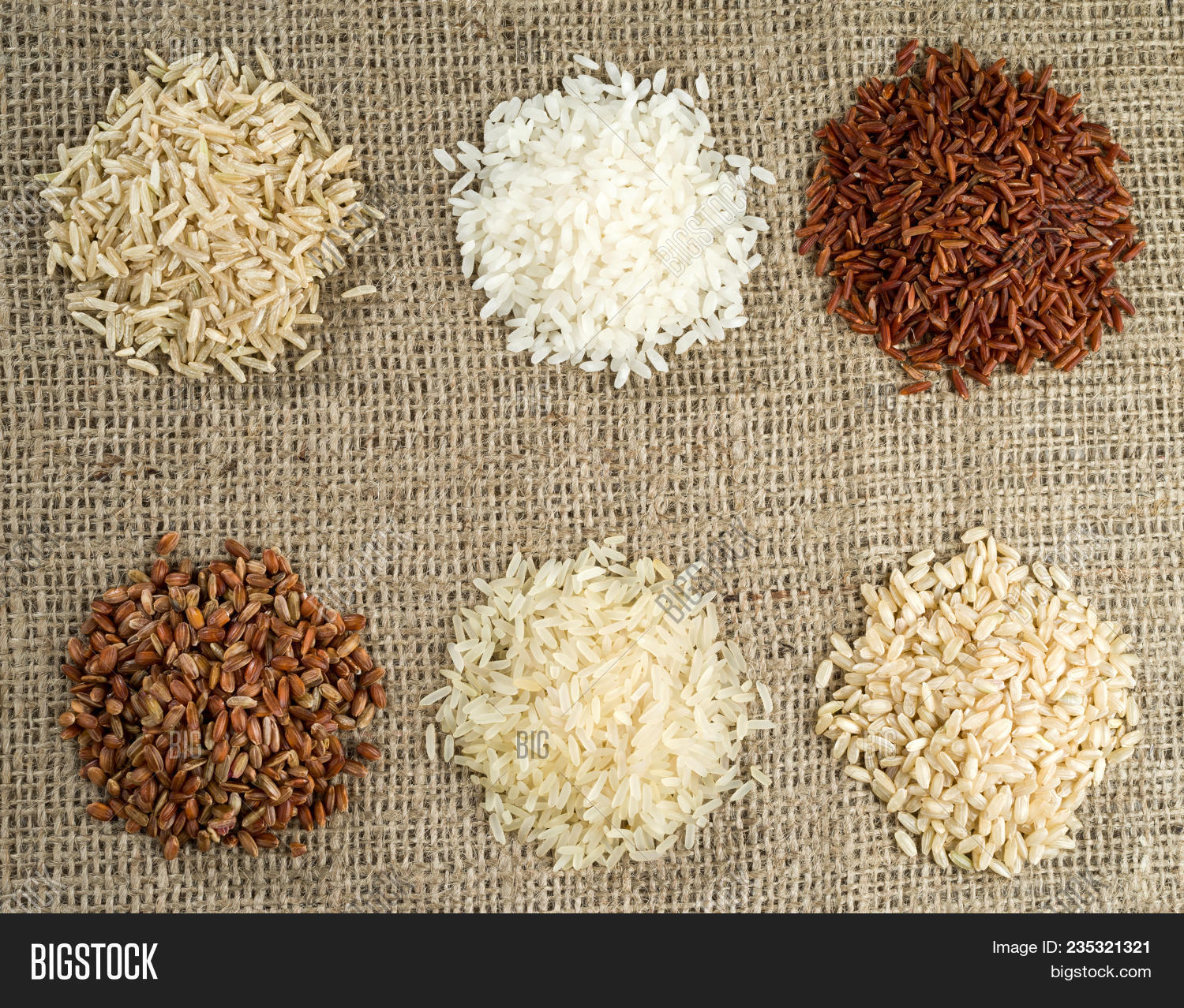 Shpe Rice Six Heaps Rice Image & Photo (Free Trial) | Bigstock