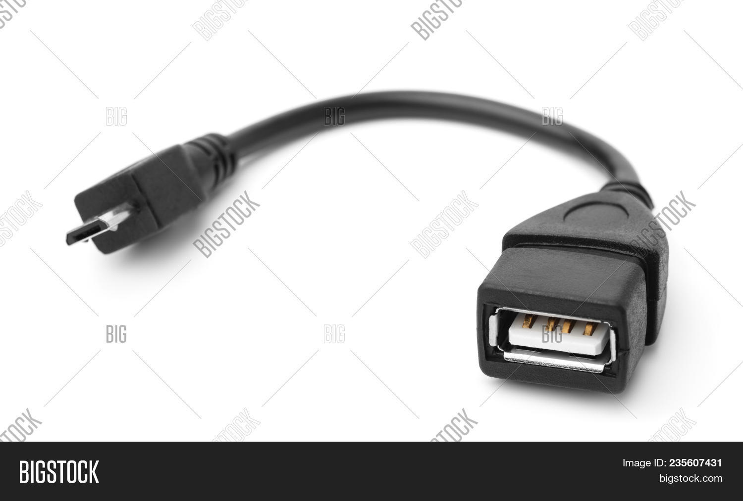 USB OTG Cable Isolated Image & Photo (Free Trial) | Bigstock