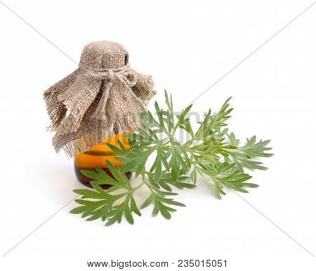 Artemisia Absinthium With Pharmaceutical Bottle. Isolated On White Background.