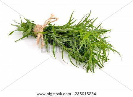 Tarragon (artemisia Dracunculus) Isolated On White Background.