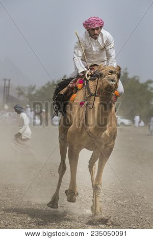 Ibri, Oman, April 7th, 2018: Omani Man Racing On A Camel