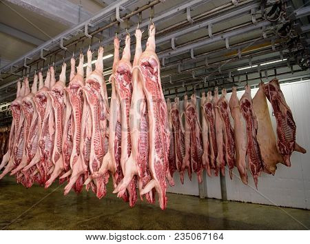 Refrigerator Pork Meat Storage