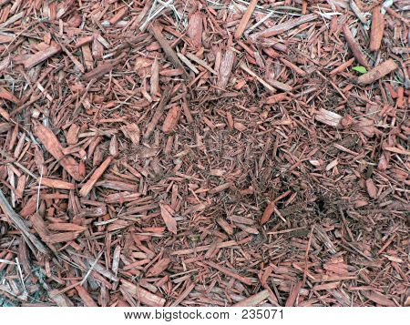 Texture de copeaux de bois