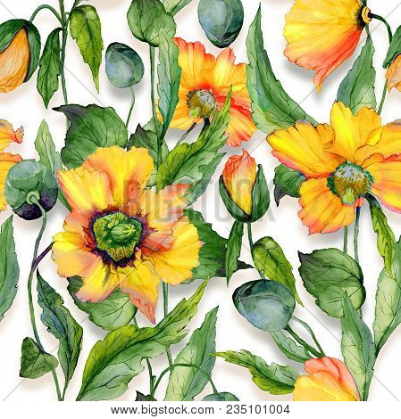 Beautiful Orange Welsh Poppy Flowers With Green Leaves On White Background. Seamless Floral Pattern.
