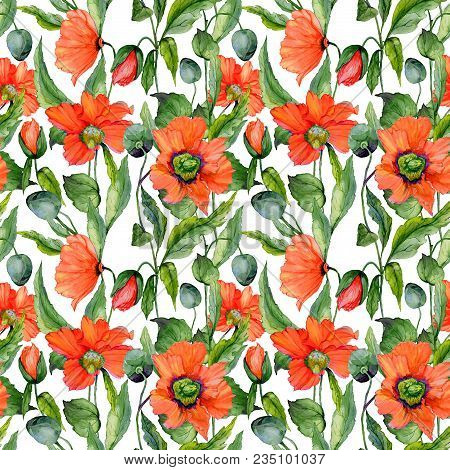 Beautiful Red Poppy Flowers With Green Leaves On White Background. Seamless Summer Floral Pattern. W