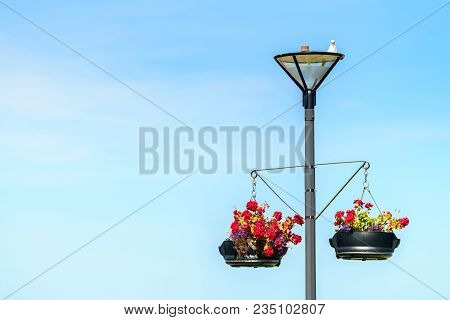 Lightpole With Hanging Flower Pots And Seagull On Top In Victor Harbor, South Australia