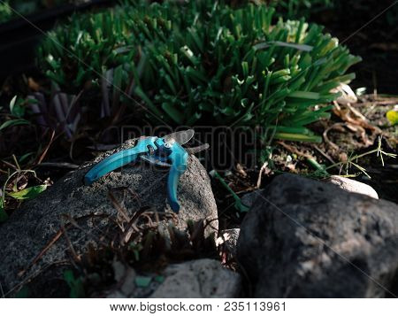Garden Scissors Laid Onthe Srone In A Garden, Closeup Outdoor Shot