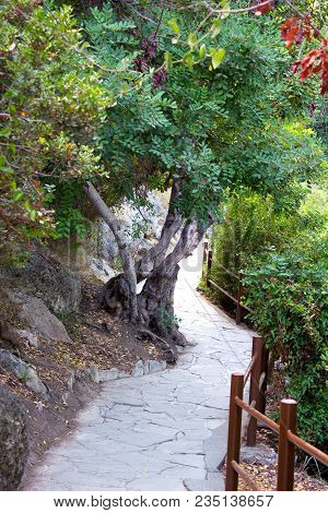 Path To The Baths Of Aphrodite In Akamas, Cyprus.