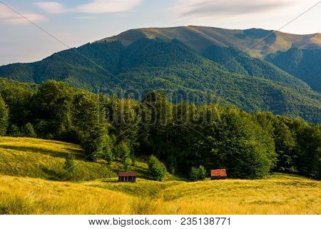 Two Woodshed Near The Forest In Mountains. Beautiful Summer Scenery In Evening. Location Apetska Mou