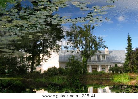 Spiegelbild der Natur im Teich des Botanischen Gartens In Tartu, Estland