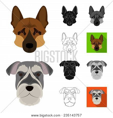 Dog Breeds Cartoon, Black, Flat, Monochrome, Outline Icons In Set Collection For Design.muzzle Of A 