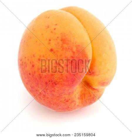 One apricot isolated on white background cutout