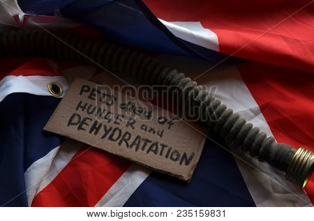The scandal about poisoning of former Russian spy and killing his domestic pets cat and Guinean pigs. Animal abuse.Concept. British Flag background.April 7, 2018 in Kiev,Ukraine