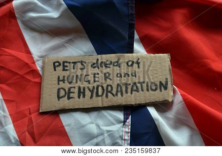 The scandal about poisoning of former Russian spy and killing his domestic pets cat and Guinean pigs. Animal abuse.Concept. British Flag background.April 7, 2018 in Kiev,Ukraine