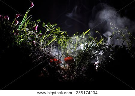 Mushroom. Fantasy Glowing Mushrooms In Mystery Dark Forest Close-up. Amanita Muscaria, Fly Agaric In