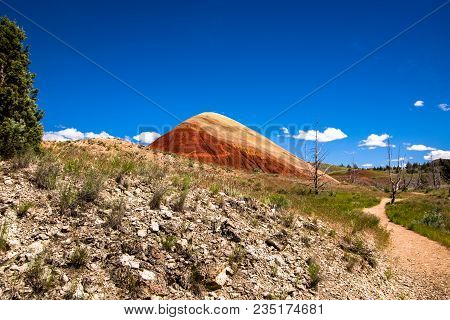 Painted Hill Oregon