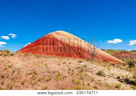 Painted Hill Oregon