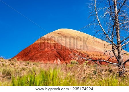 Painted Hill Oregon