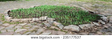 Flower Bed In The Park Of Culture And Rest