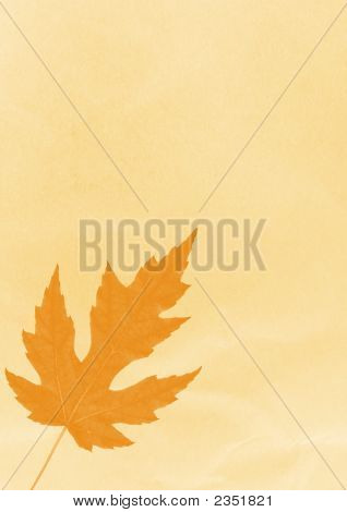 잎 배경