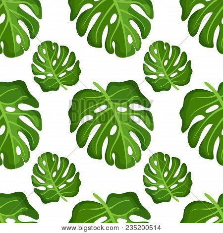 Seamless Pattern Of Realistic Monstera Tropical Leaves. Summer Floral Fabric Design. Vector Illustra