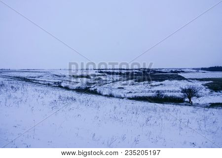 Hare Marks On The Snow