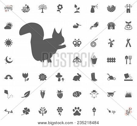 Squirrel Icon. Spring Vector Illustration Icon Set
