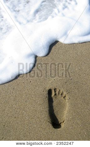 Sea Footstep