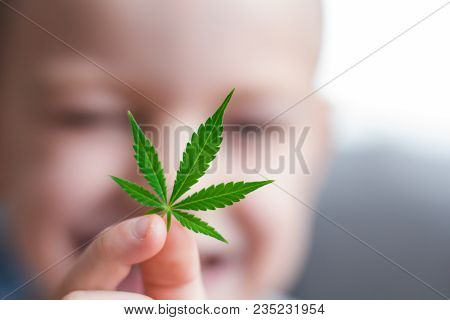 Smiling Kid Child Holding A Hemp Leaf. Concepts Of Using Marihuna For Medicinal Purposes For Childre