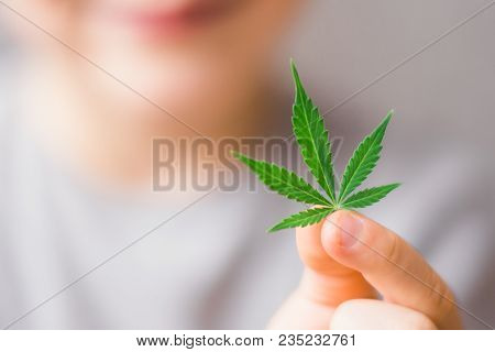 Smiling Kid Child Holding A Hemp Leaf. Concepts Of Using Marihuna For Medicinal Purposes For Childre