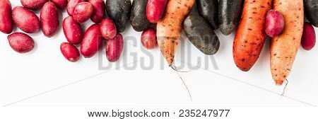 Different Varieties In Form And Color Of Potatoes  On A White Isolated Background. Red, Shetland Bla