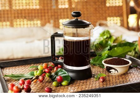 Fresh Coffe In French Press With Roasted Coffee Beans, Fresh And Ripe Coffea Cherries And Leaves Out