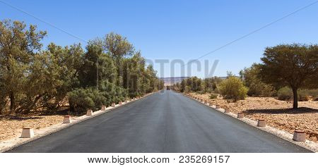 Road In The Desert. The Desert Highway In The Hot Sun