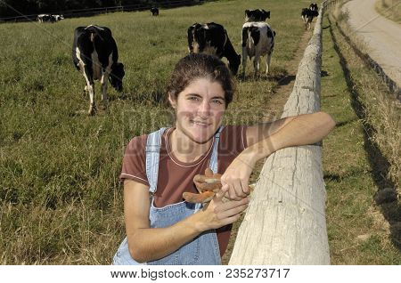 Portrait Of A Farmer With Her Cows In The Field