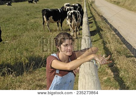 Portrait Of A Farmer With Her Cows In The Field