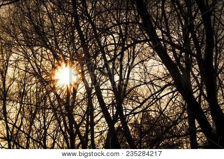The Sun Shines Through The Branches Of Trees