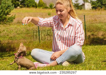 Woman Playing With Little Pinscher Ratter Prazsky Krysarik Crossbreed Small Dog Outside On Grass Dur