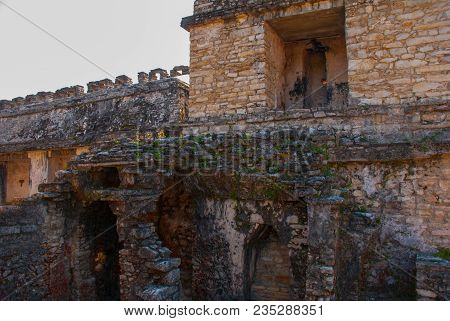 Palenque-the Remains Of An Ancient Mayan Civilization, Well-preserved In The Selva Of The Southern S