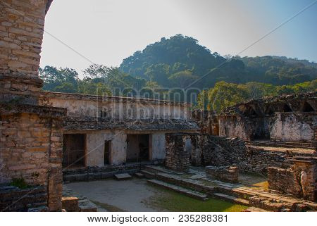 Palenque-the Remains Of An Ancient Mayan Civilization, Well-preserved In The Selva Of The Southern S