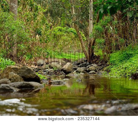 Mountain Landscape, Ravine With Rain Water, Valsequillo Of Gran Canaria, Canary Islands