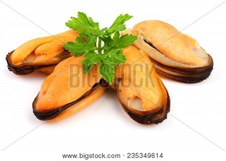 Four Mussel With Parsley Leaf Isolated On White Background.