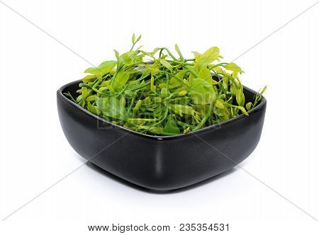 Fresh Melientha Suavis Pierre Vegetable In The Black Bowl Isolated On White Background